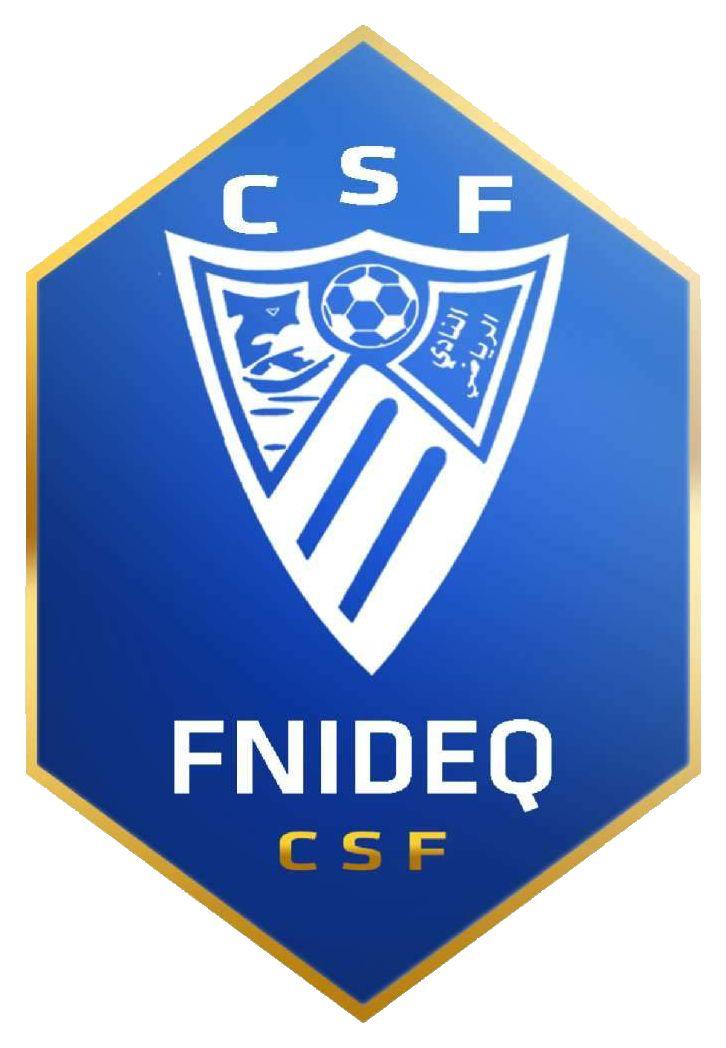 CMFCI